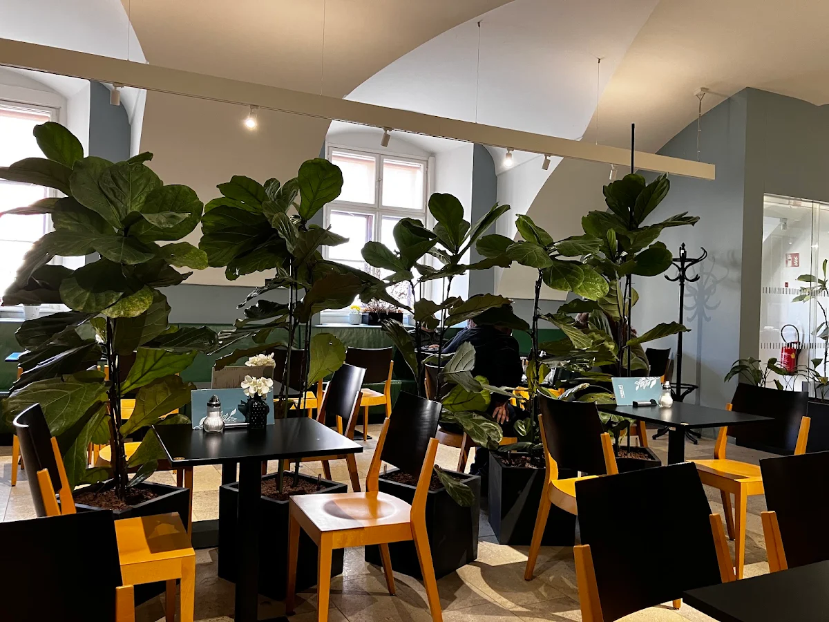 Parkcafé im Unteren Belvedere Titelbild