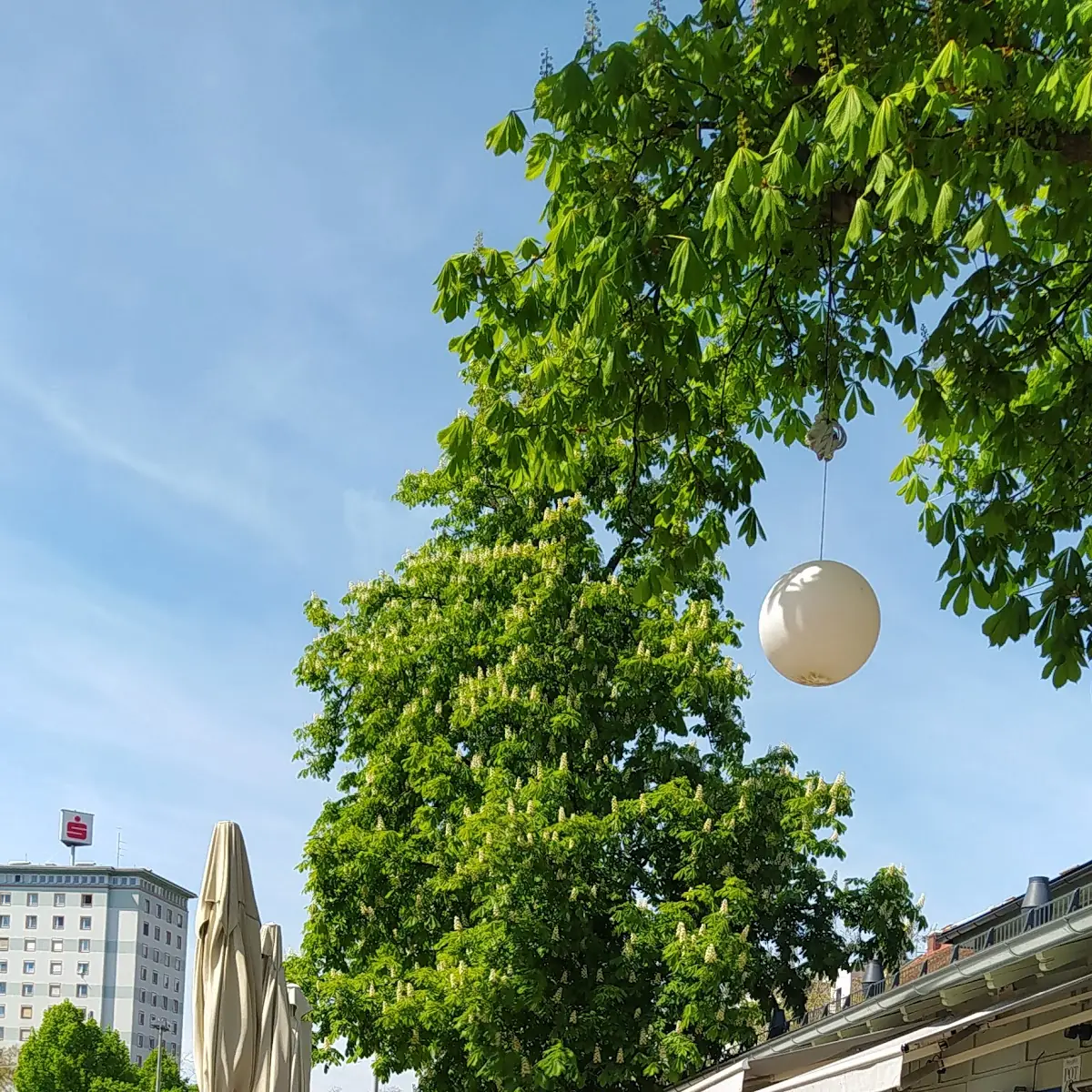 Atmosphäre photo 5