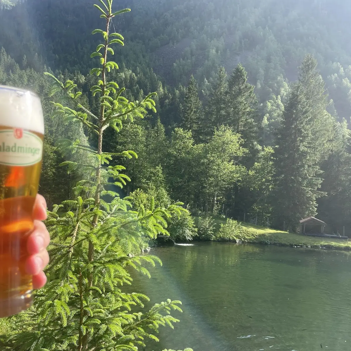 Essen und Trinken, Waldhäuslalm