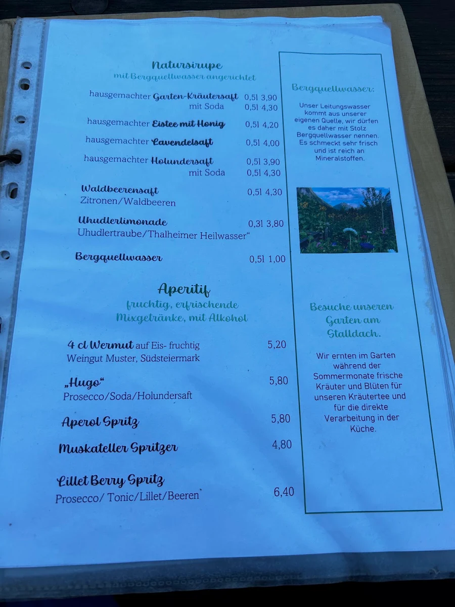 Speisekarte, Waldhäuslalm