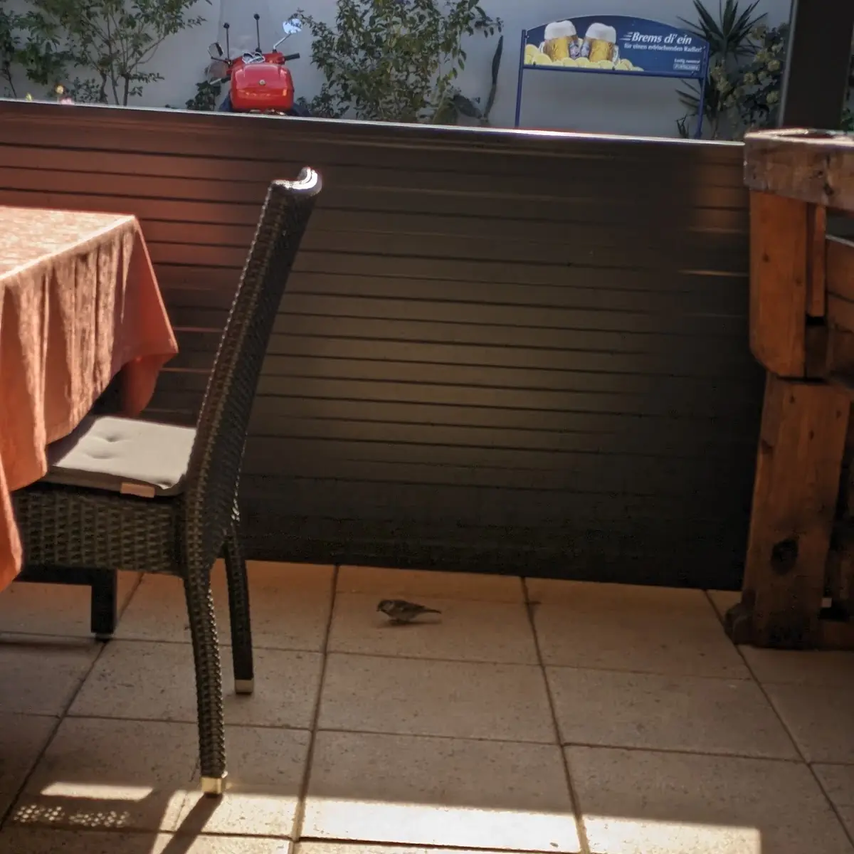 Atmosphäre photo 5