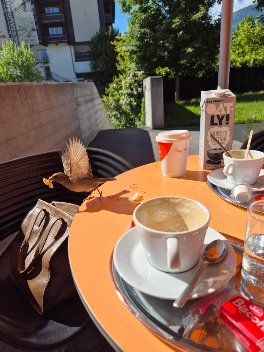 Essen und Trinken photo 1