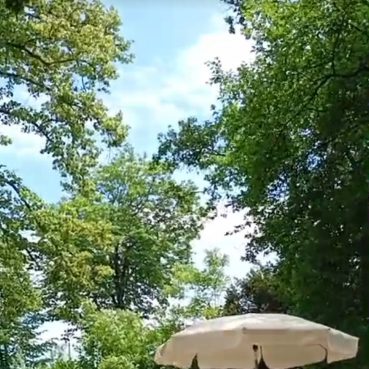 Atmosphäre photo 3