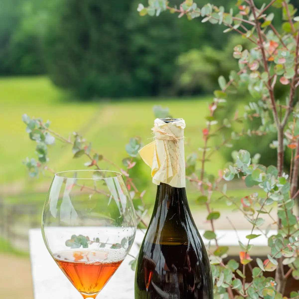 Essen und Trinken photo 1