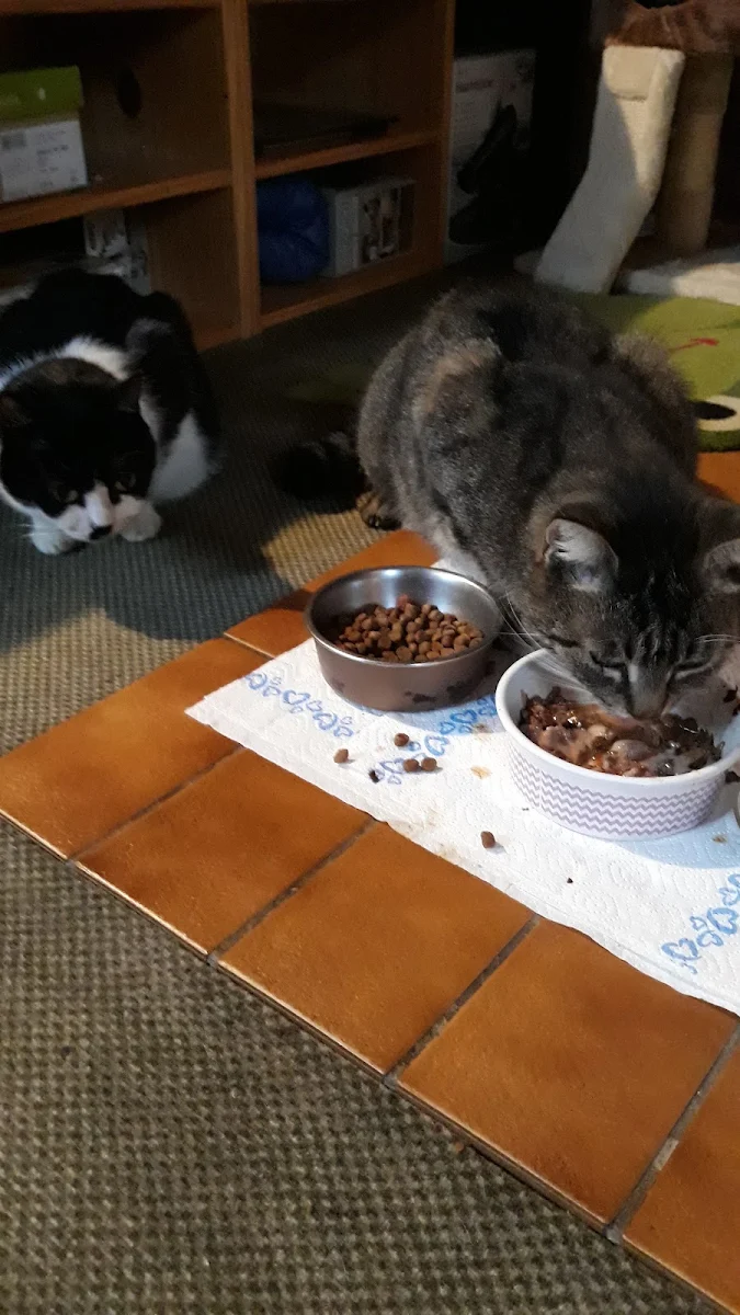 Essen und Trinken photo 3