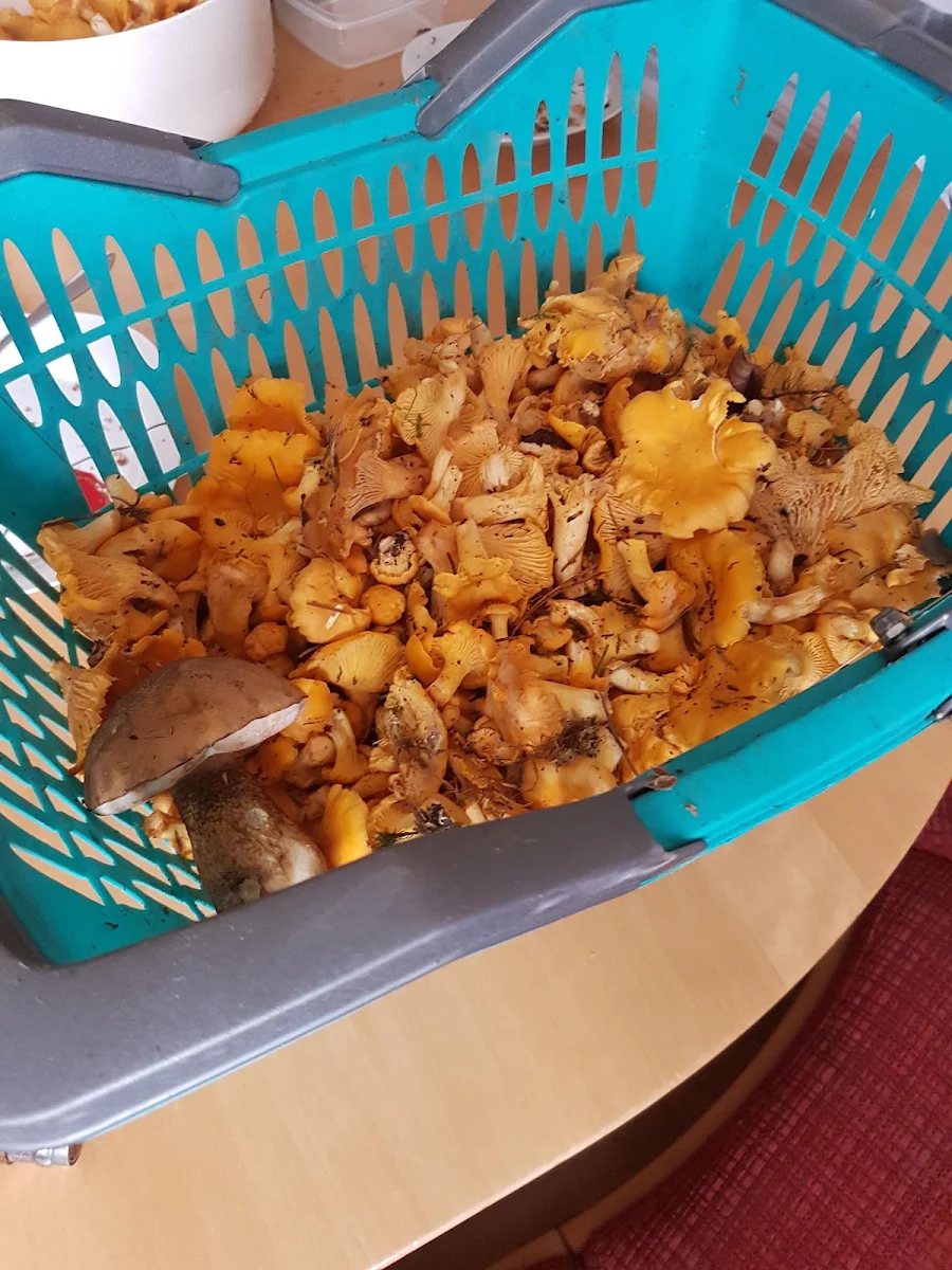 Essen und Trinken photo 2