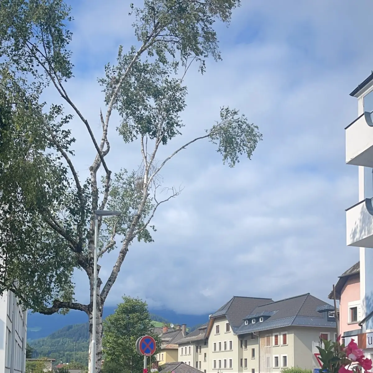 Atmosphäre photo 5