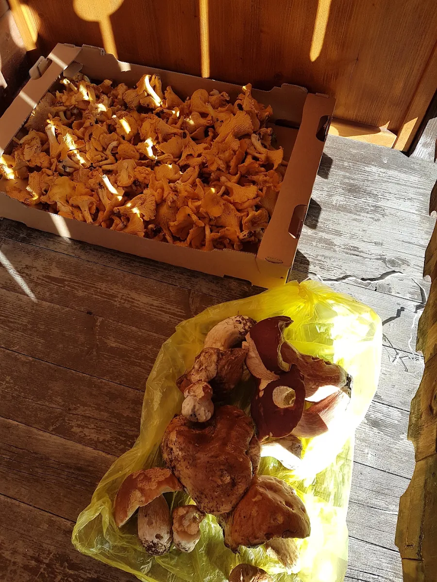 Essen und Trinken photo 6