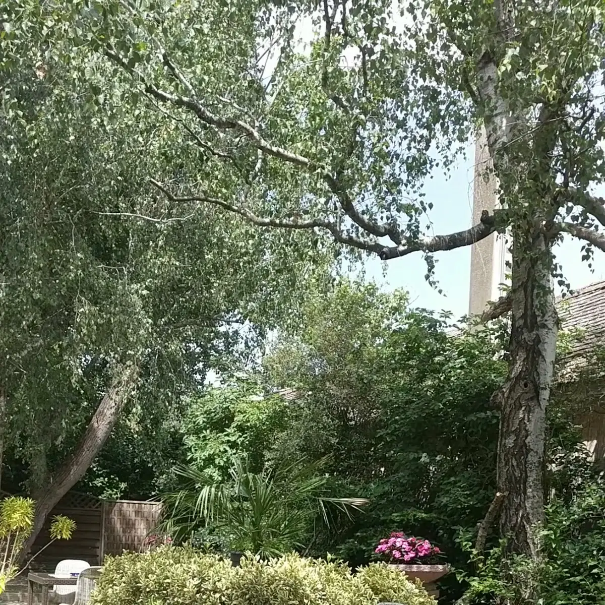 Atmosphäre photo 2