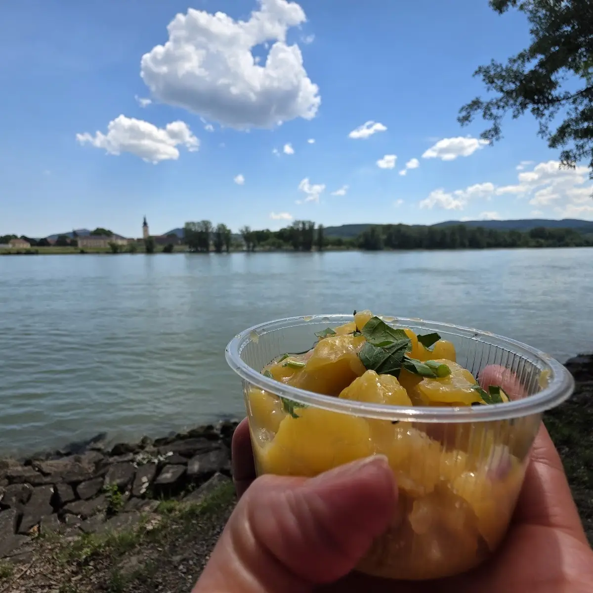 Essen und Trinken photo 8