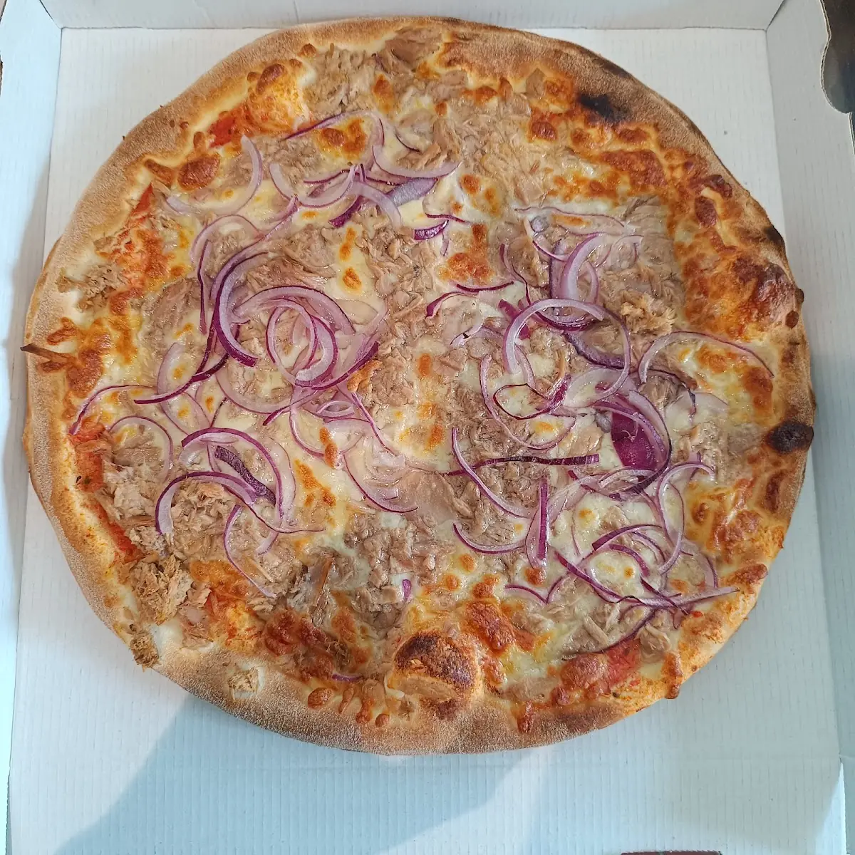 Pizza Cipolla