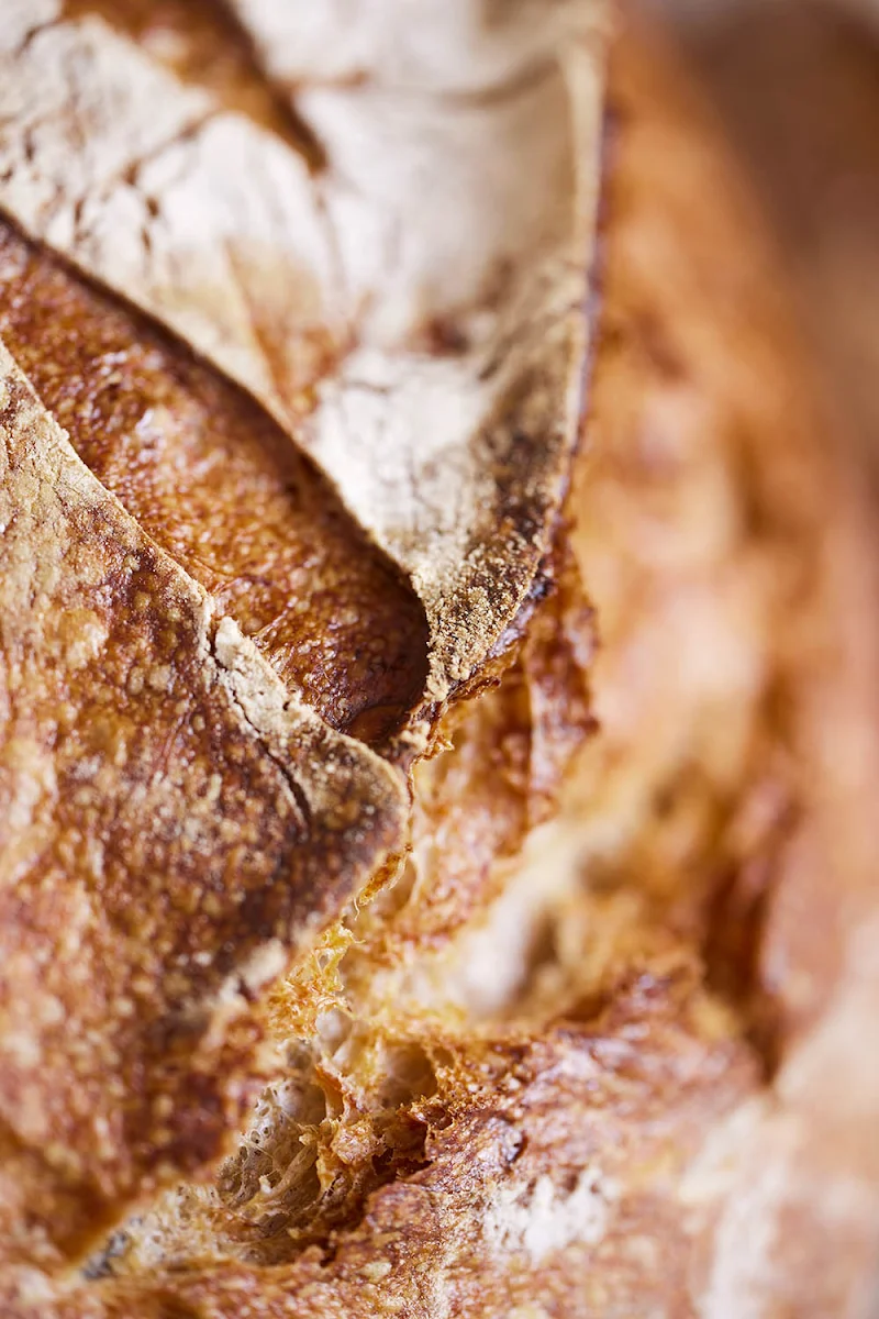 Bio Hausbrot