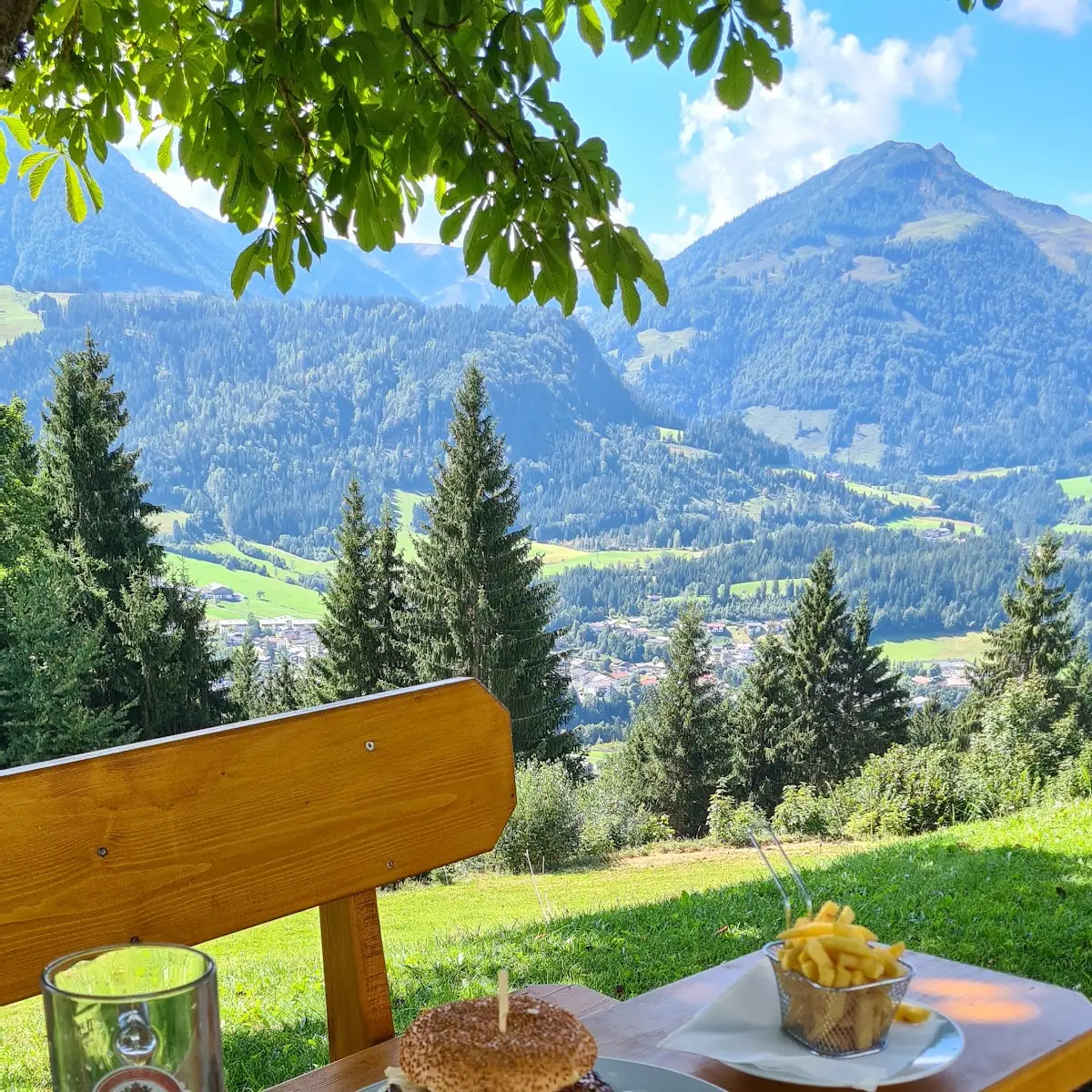 Alm Burger Mit Pommes Frites