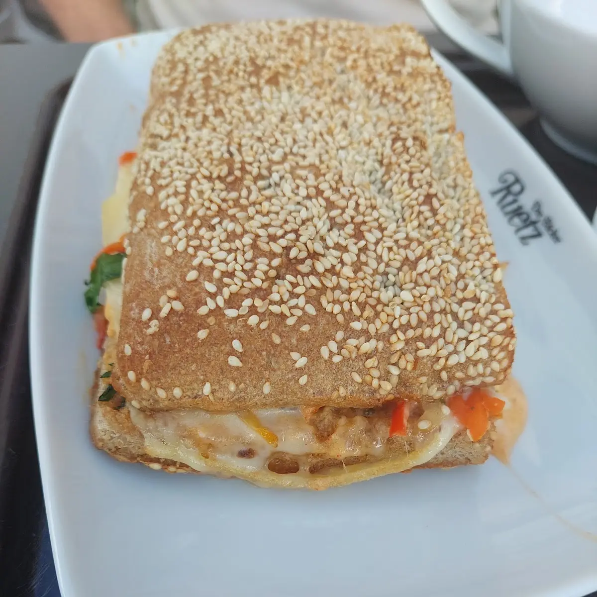 Panino Vegetariano
