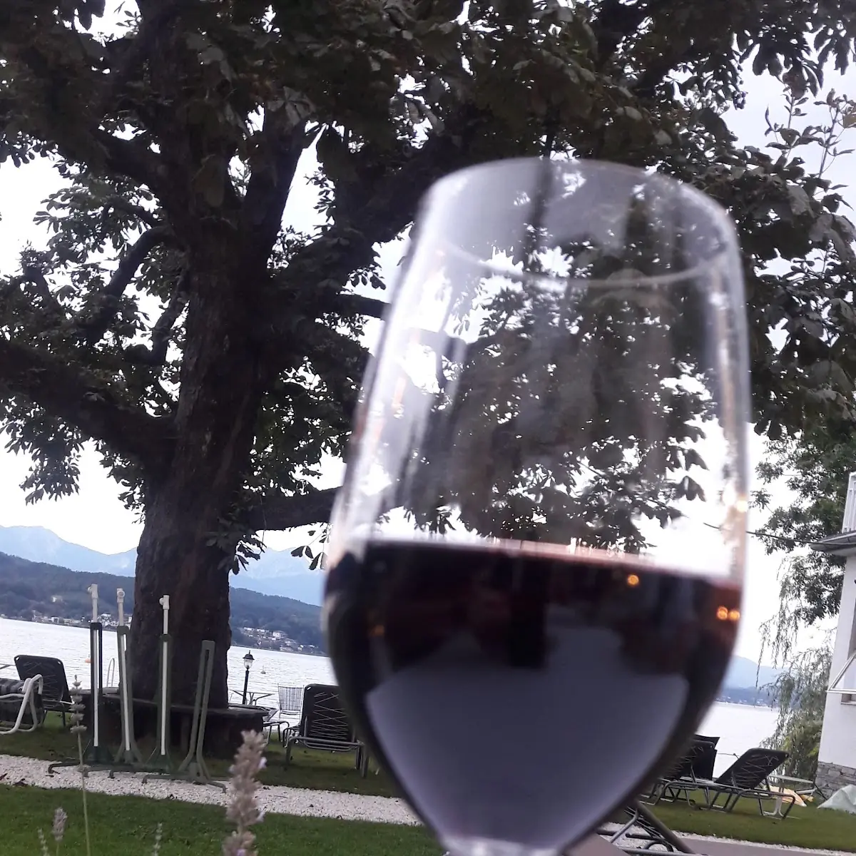 Red Wine