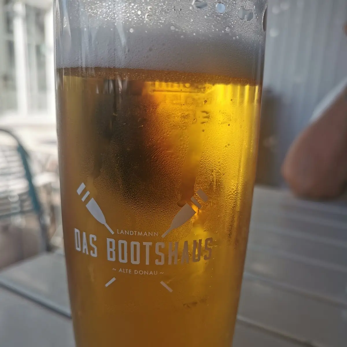 Bier