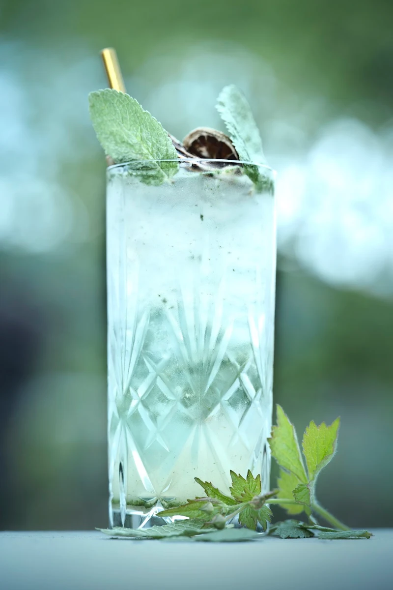Gin Tonic