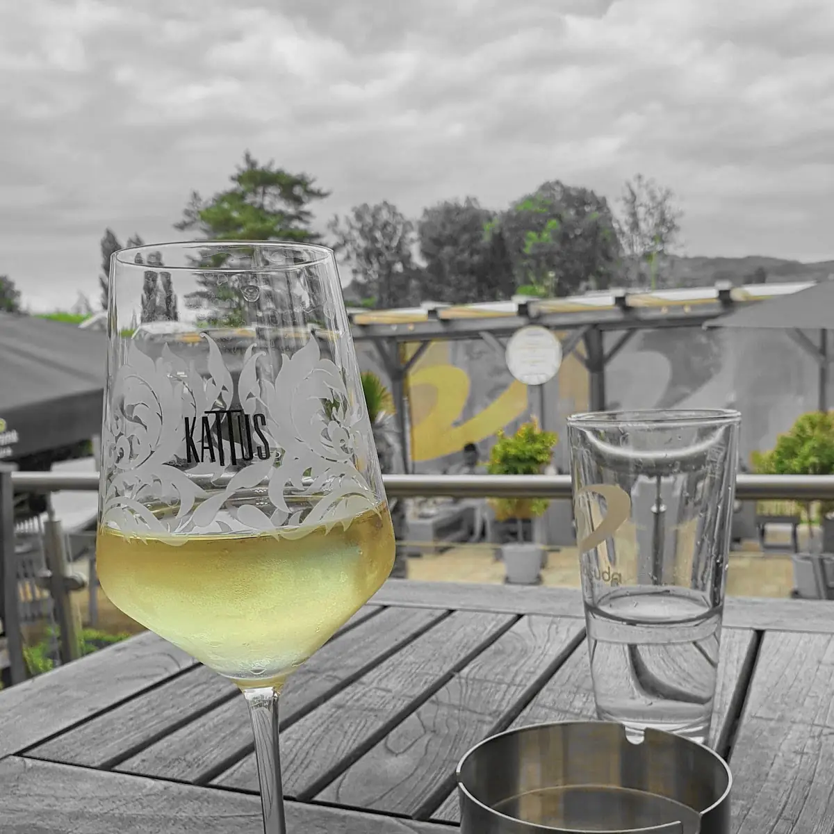 Grüner Veltliner
