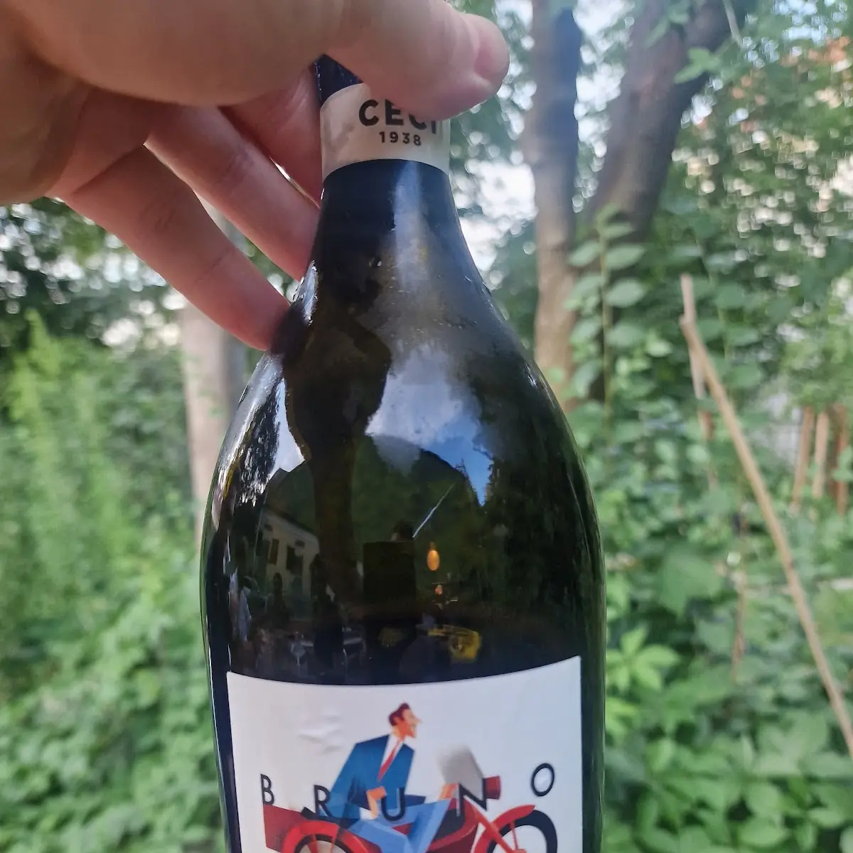 Lambrusco