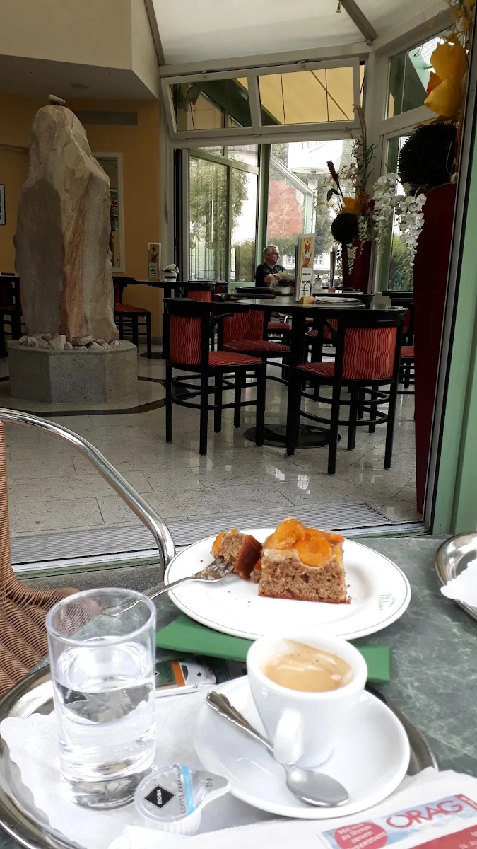 Dinkel Marillen Kuchen