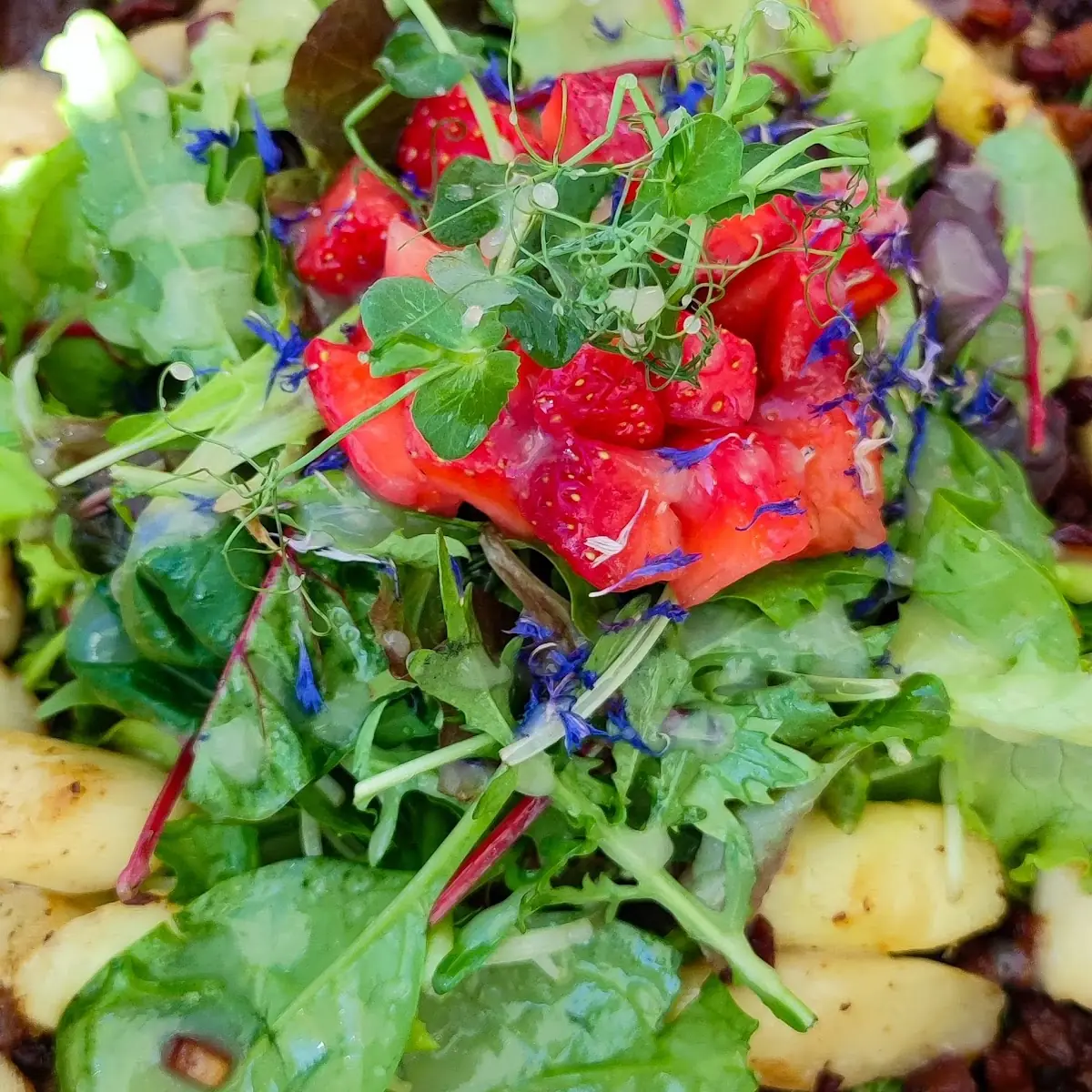 Spargelsalat Mit Erdbeeren Und Speckwürfel