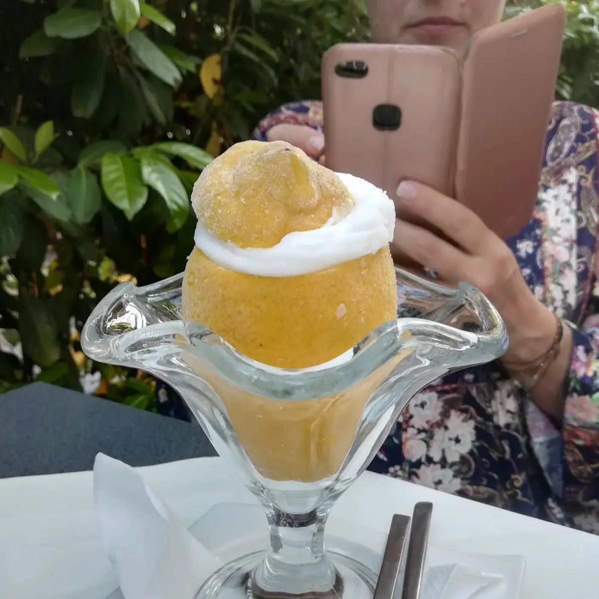 Zitronen Sorbet