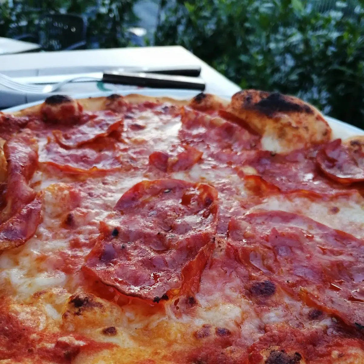 Pizza Capricciosa