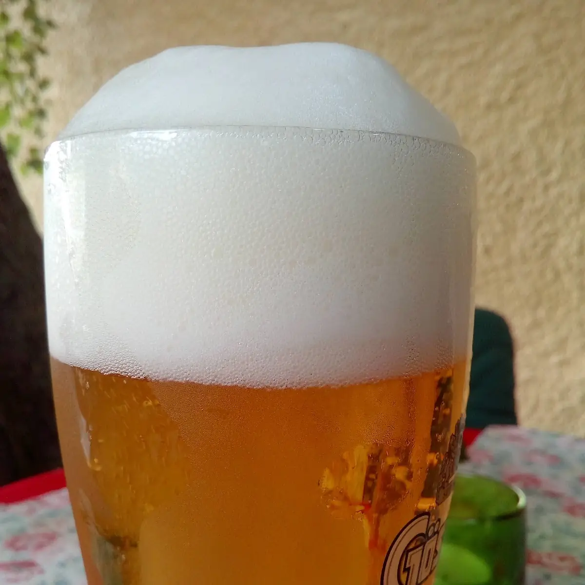 Bier