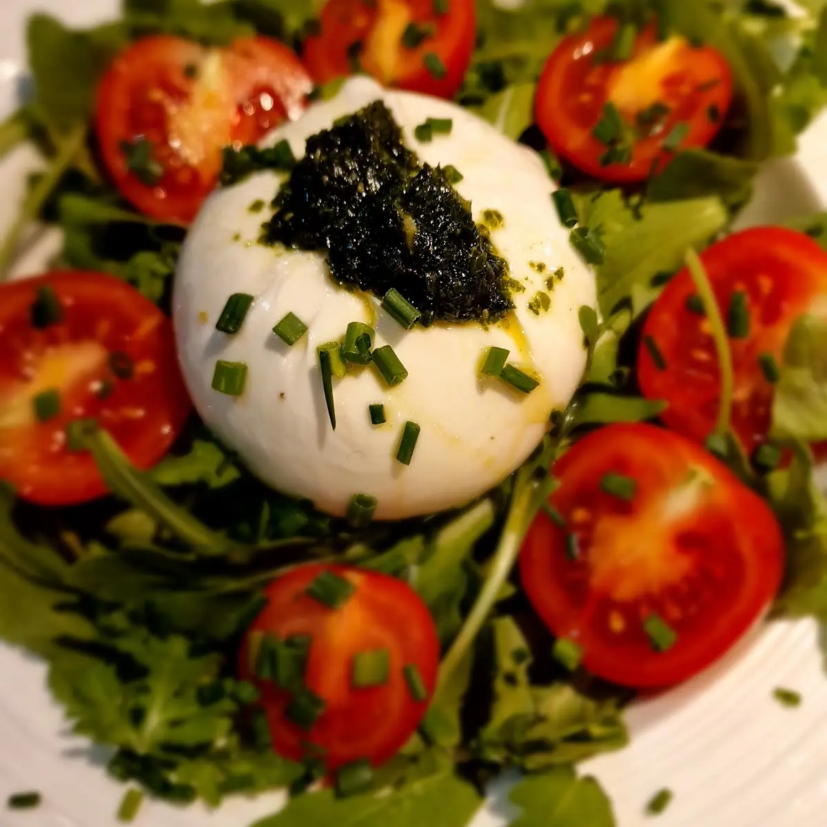 Burrata