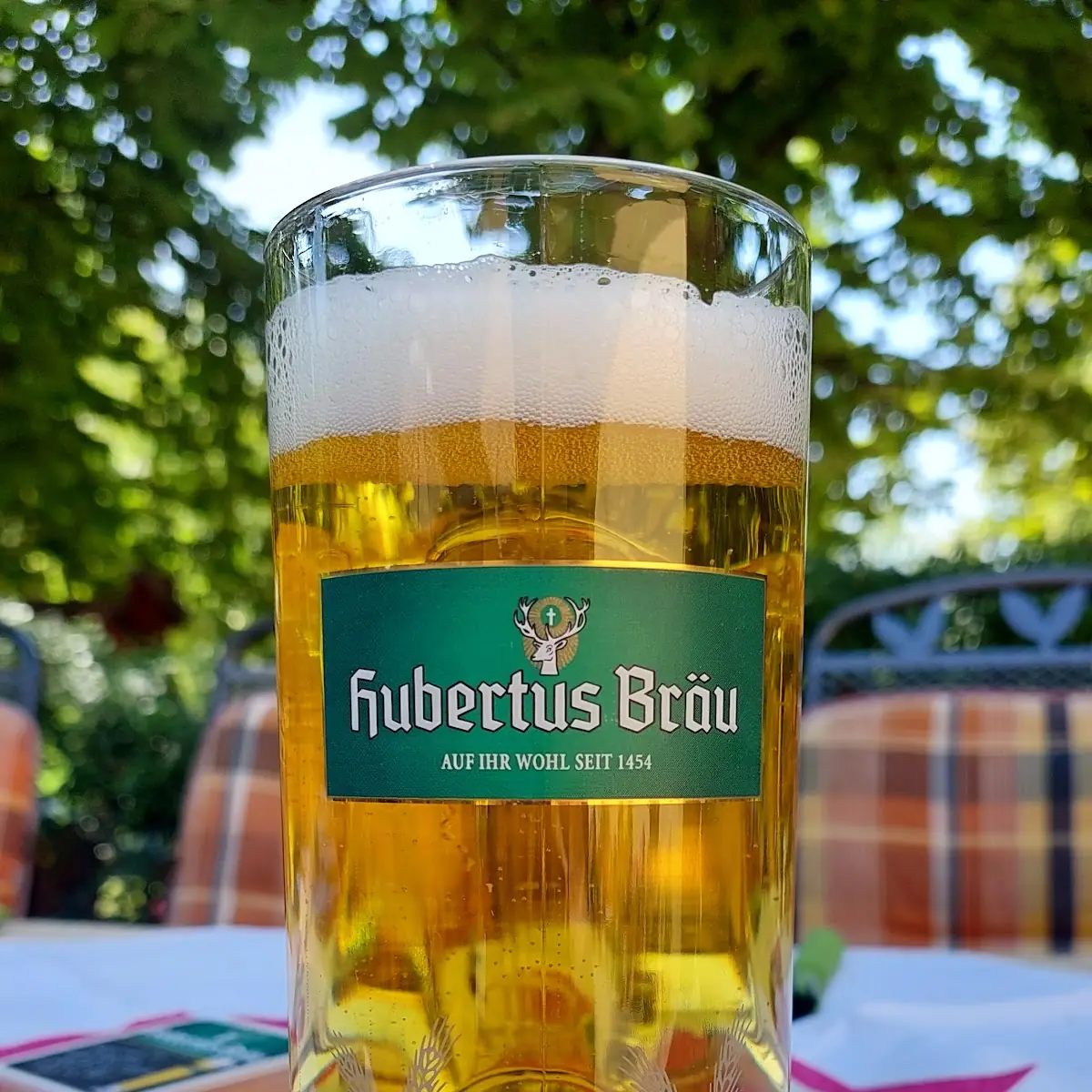 Bier