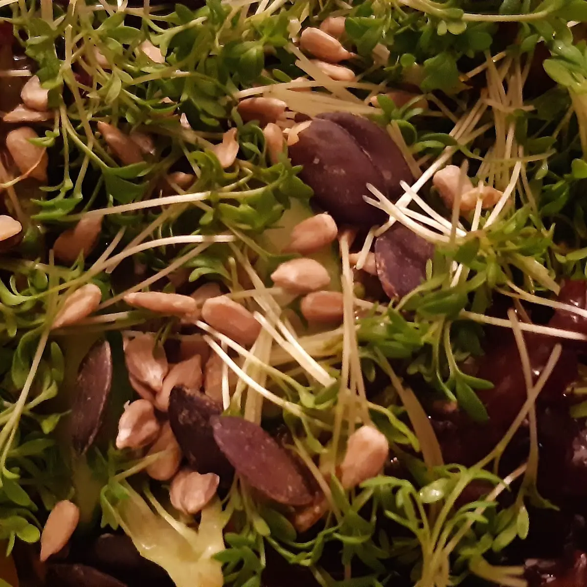 Salat