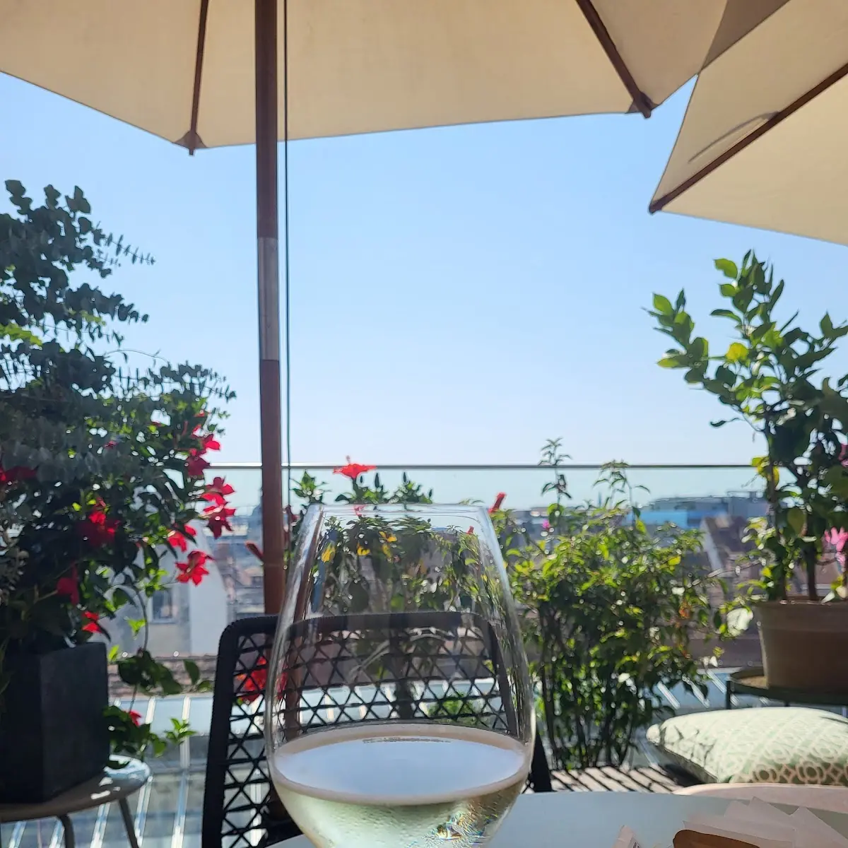Prosecco