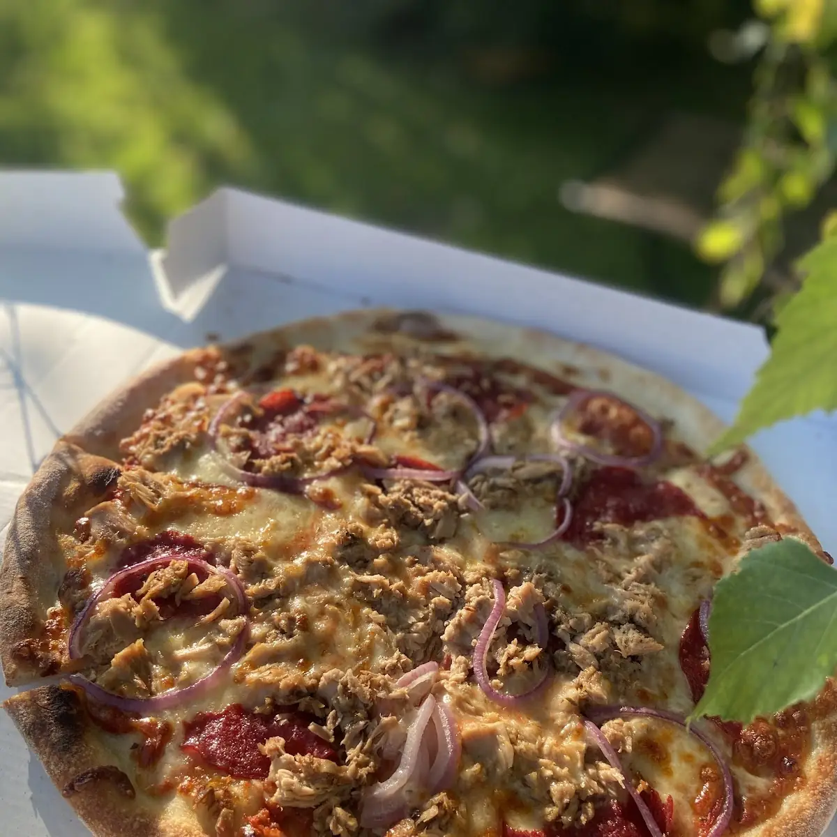 Pizza Salami