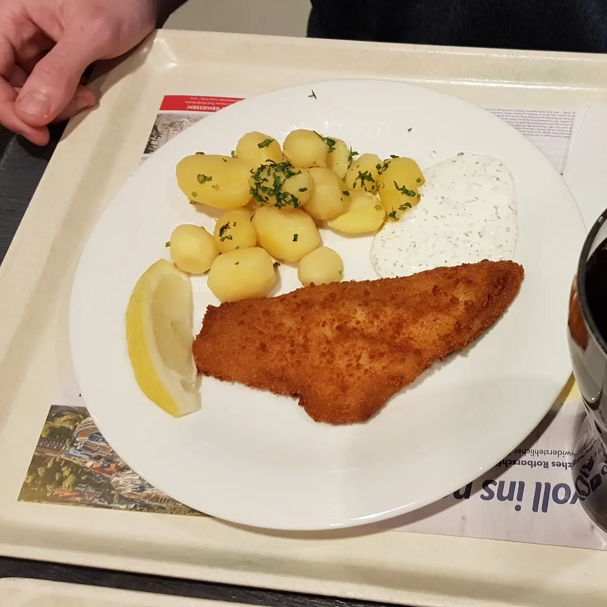 Rotbarsch Gebacken Und Kartoffel
