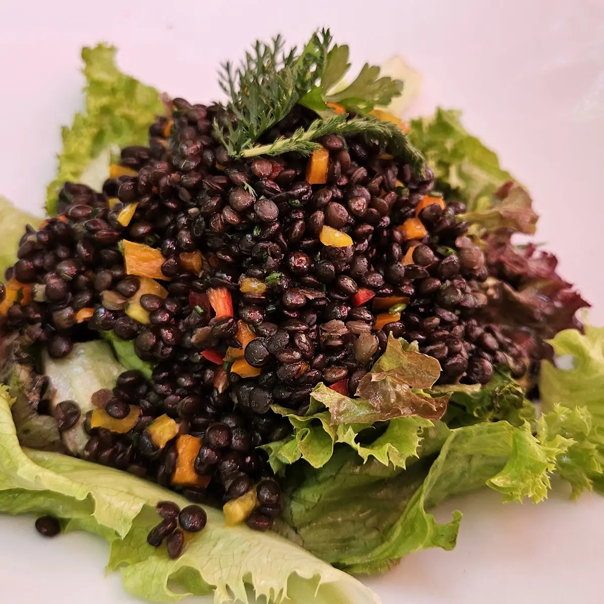 Linsensalat