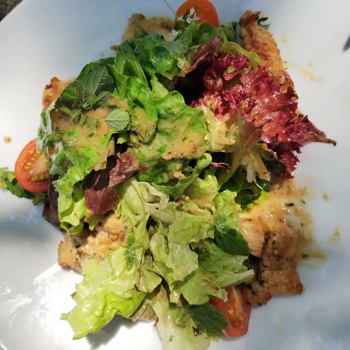 Salat Mit Wildkräutern Und Pute