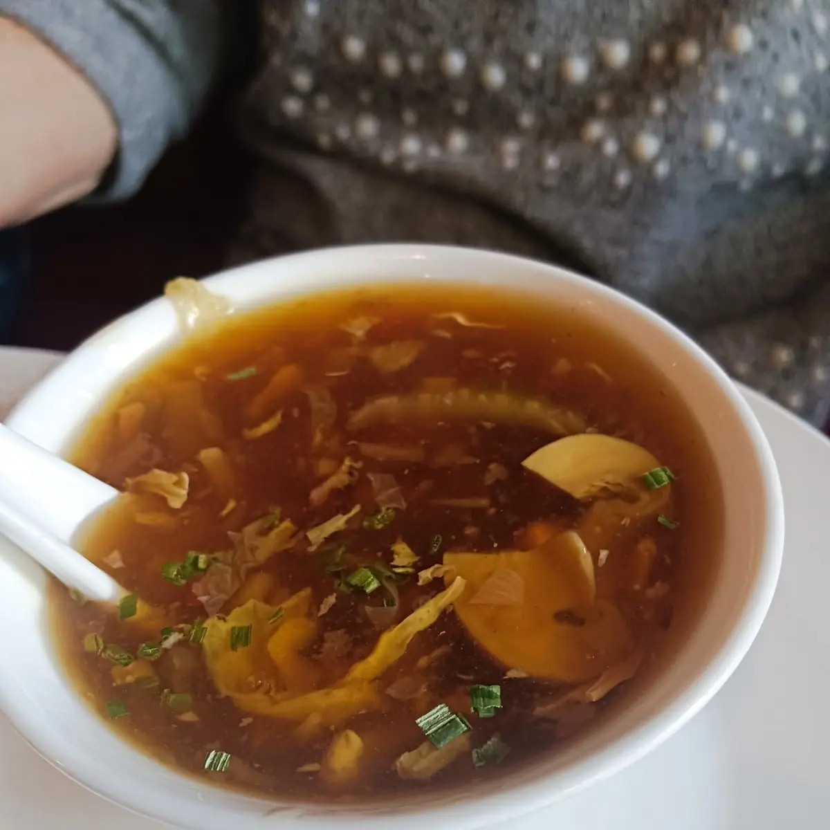 Pikant-säuerliche Suppe