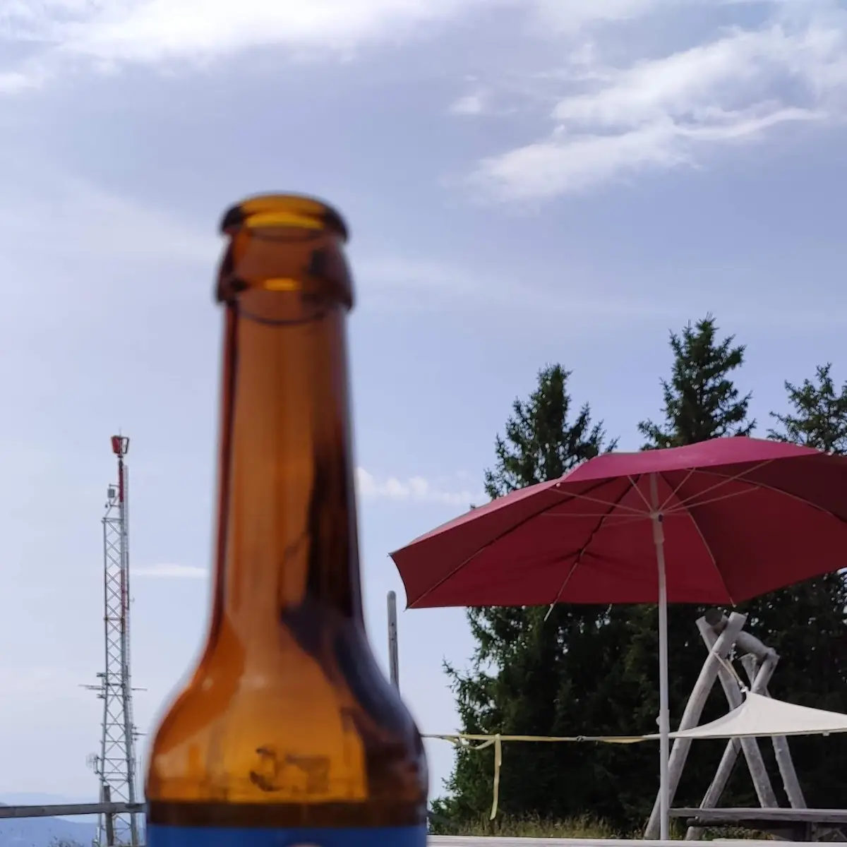 Bier