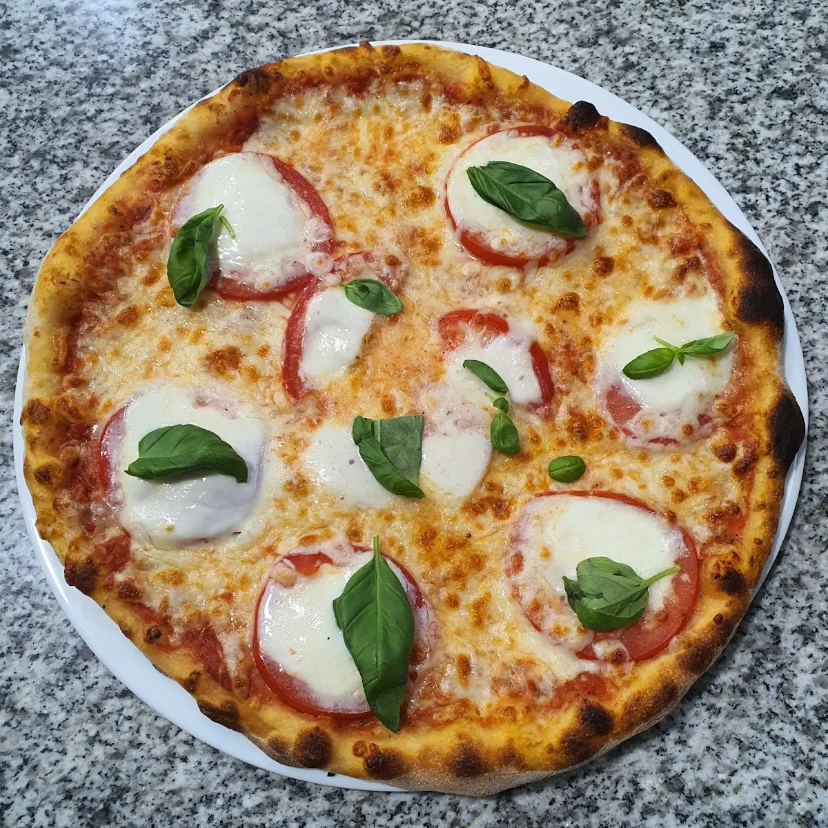 Pizza Mozzarella