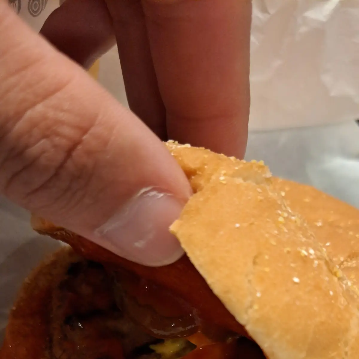 Plant Based Hamburger