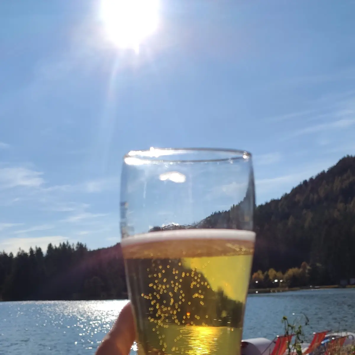 Bier