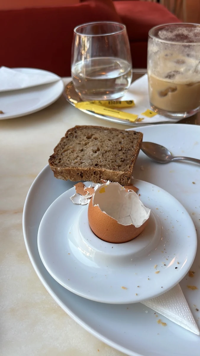 Egg