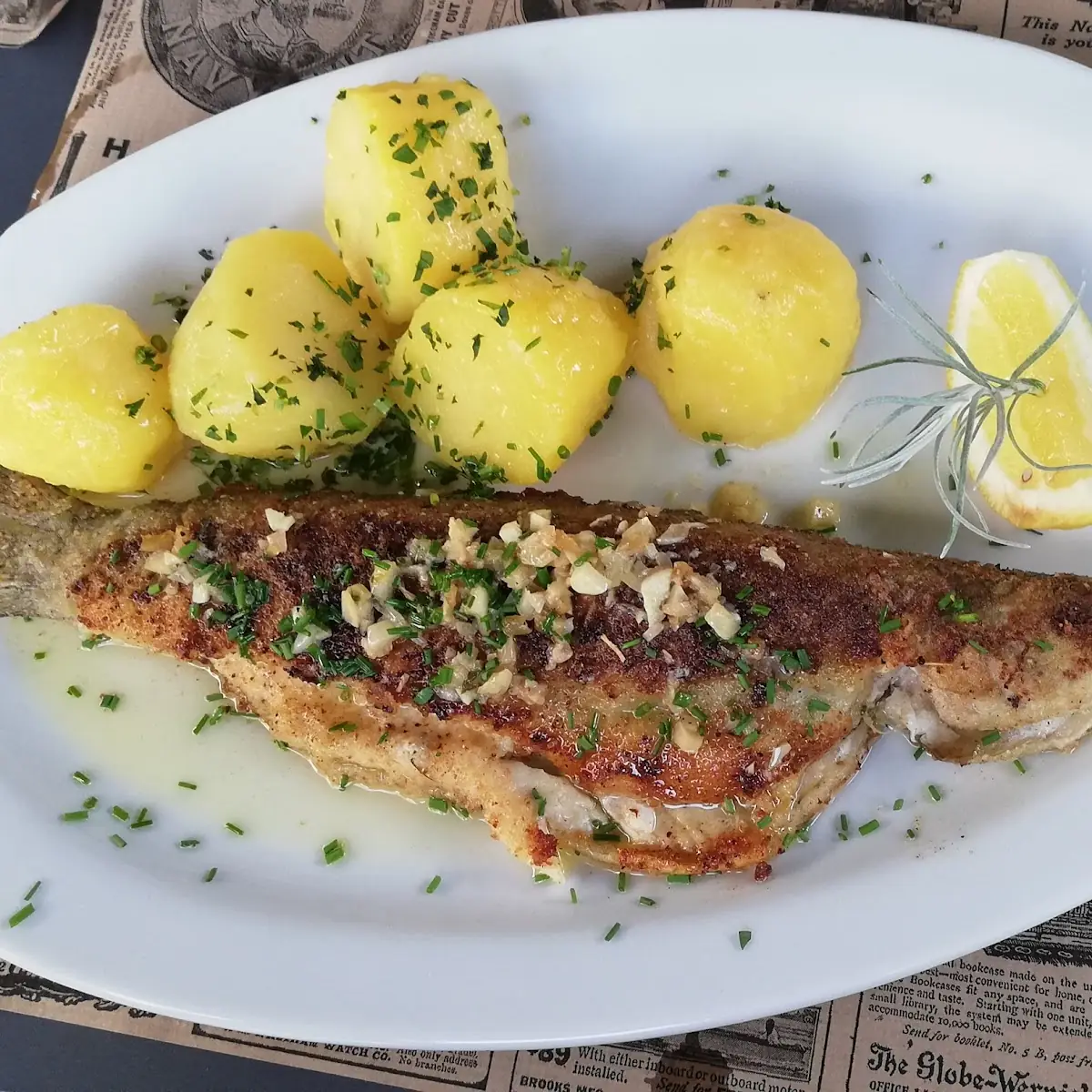 Zanderfilet Mit
