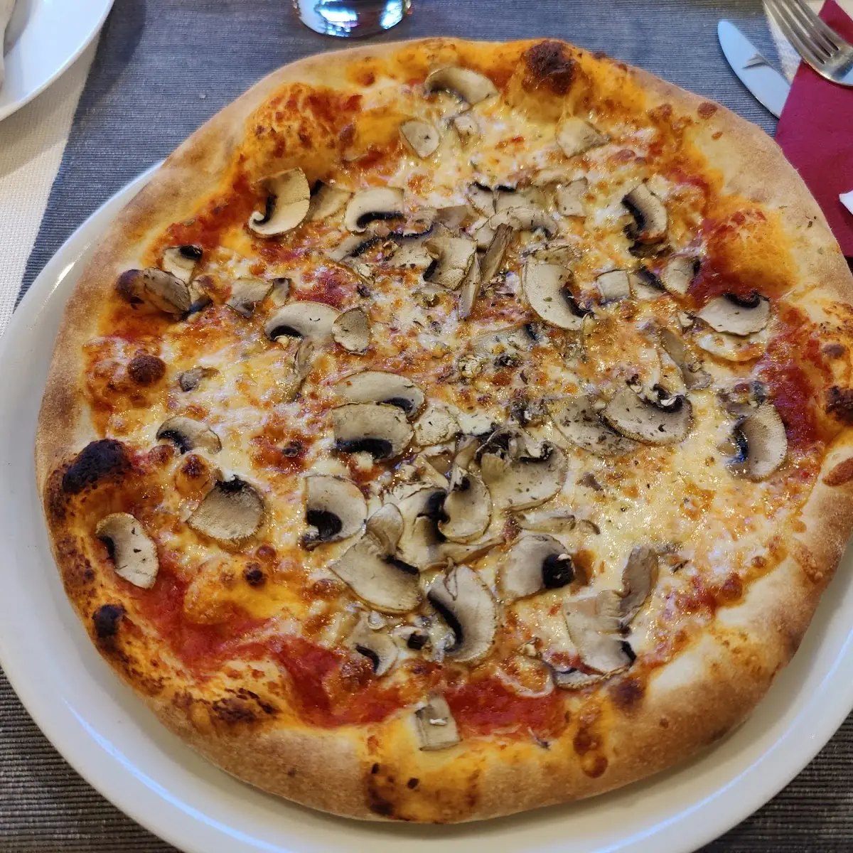 Pizza Funghi