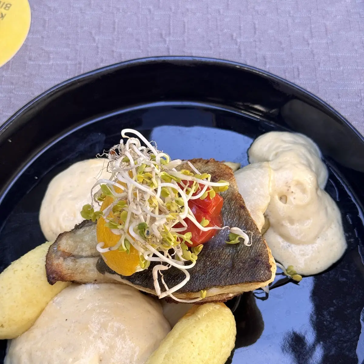 Fish