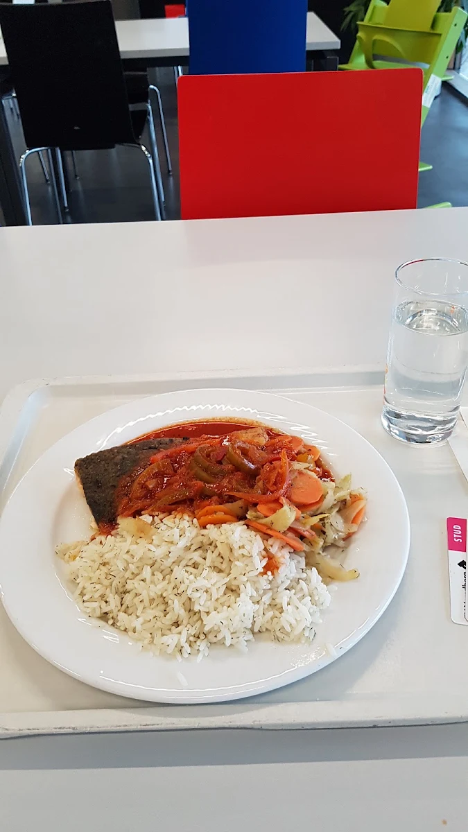 Lachs Mit Reis Fenchel Und Paprikasoße