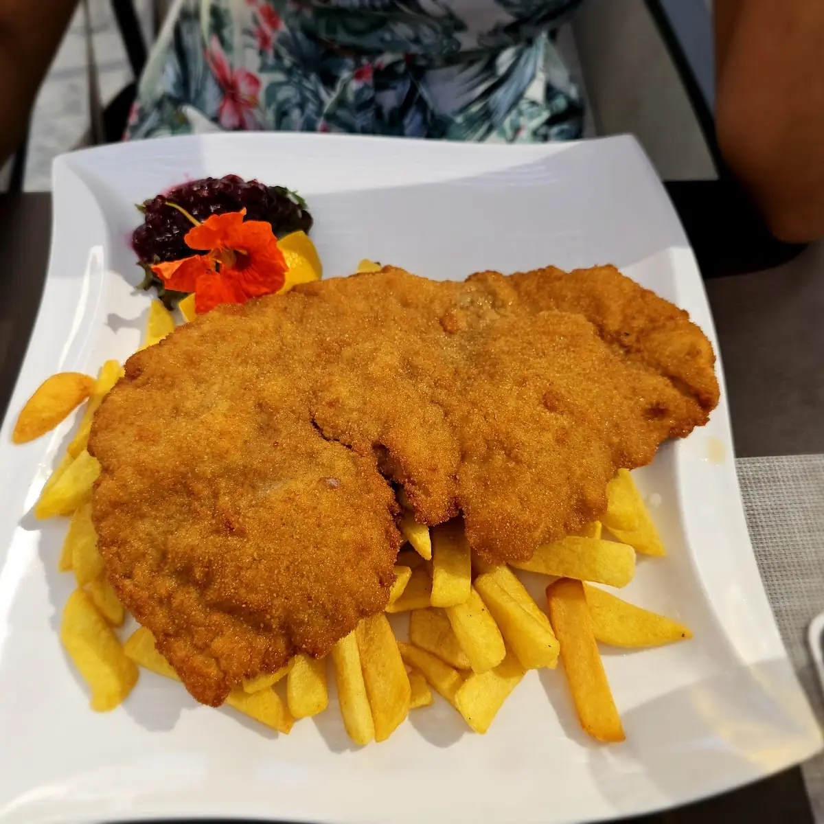 Schnitzel Mit Pommes Frites
