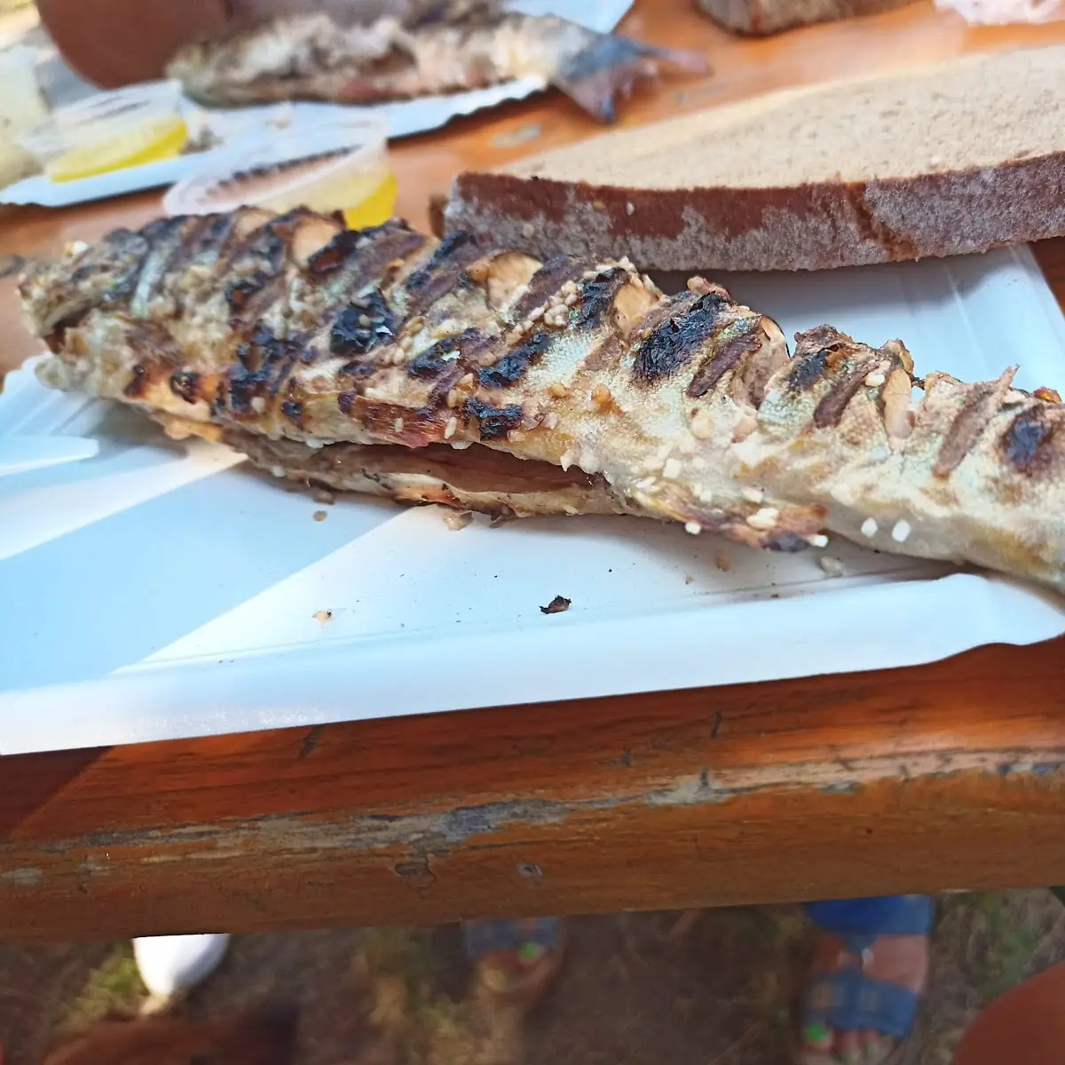 Gegrillter Saibling