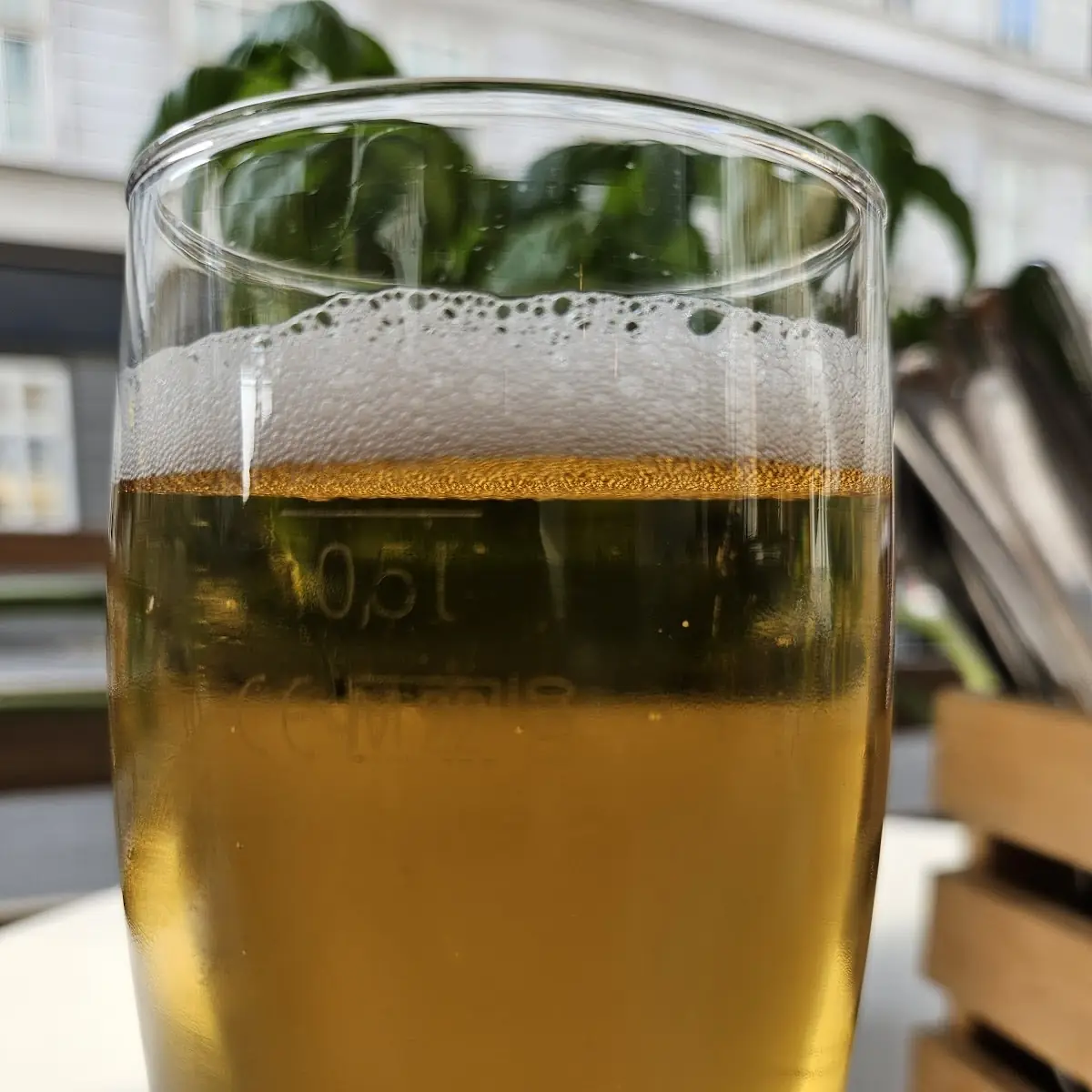 Bier