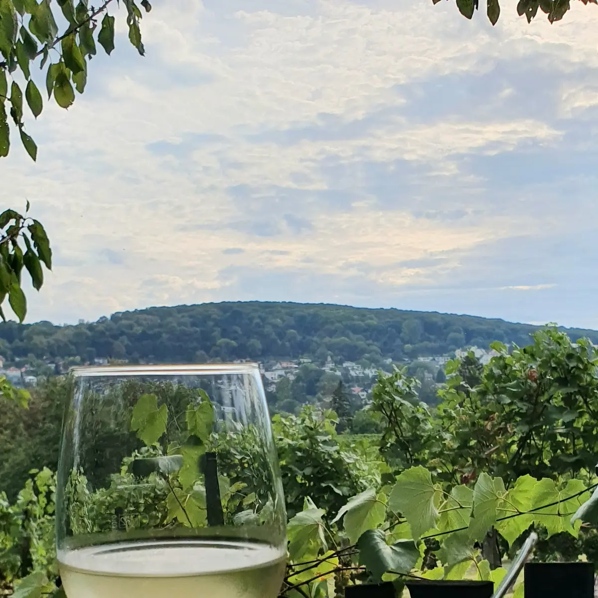 Wein